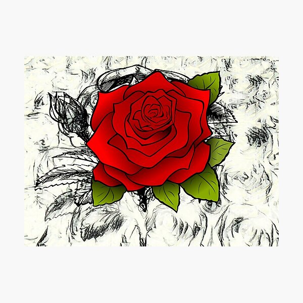 Decoración: Rosa Blanca Rosa Roja | Redbubble