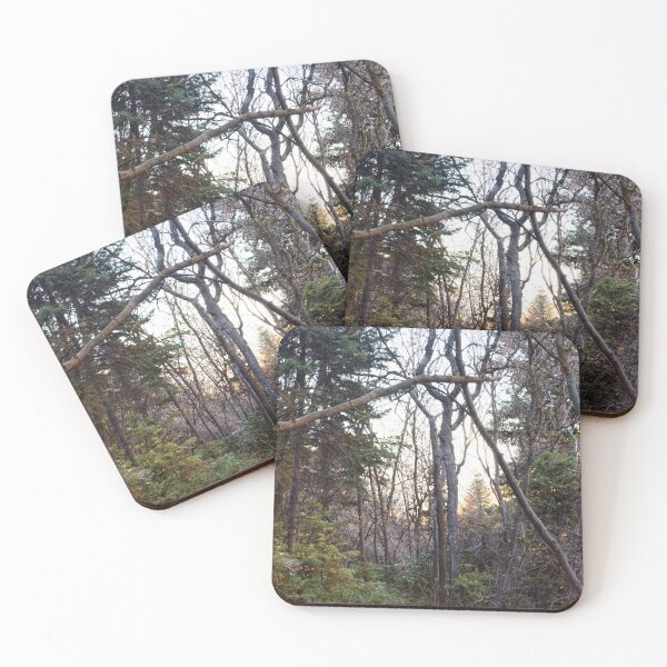 Item preview, Fall mountain woods with rocks, boulders and trees designed and sold by Ventures1.