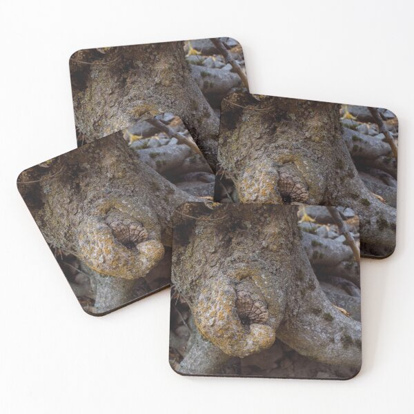 Item preview, Fall mountain woods with rocks, boulders and trees designed and sold by Ventures1.