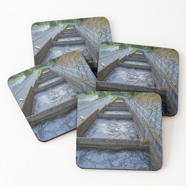 Item preview, Pools or chambers with flowing water in the salmon ladder at Pitlochry dam designed and sold by SnapTPhotograph.