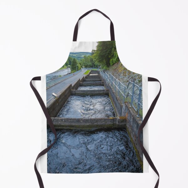 Item preview, Pools or chambers with flowing water in the salmon ladder at Pitlochry dam designed and sold by SnapTPhotograph.