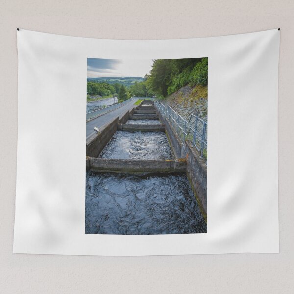 Item preview, Pools or chambers with flowing water in the salmon ladder at Pitlochry dam designed and sold by SnapTPhotograph.