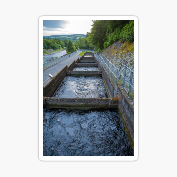 Pools or chambers with flowing water in the salmon ladder at Pitlochry dam Sticker