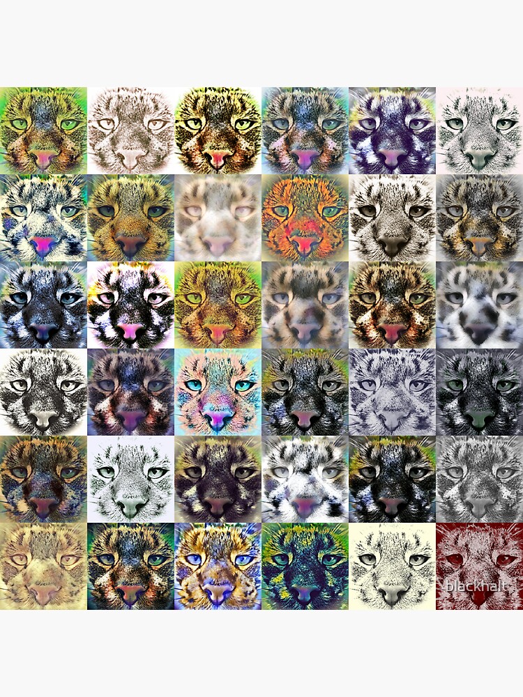 Artificial neural style wild cat by blackhalt