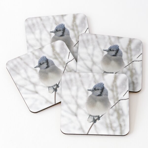 Item preview, Blue-Jay & Early Snowfall designed and sold by VeganBear.