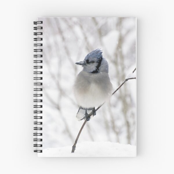 Item preview, Blue-Jay & Early Snowfall designed and sold by VeganBear.