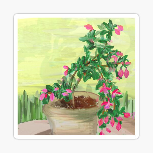 Fuchsia Sticker