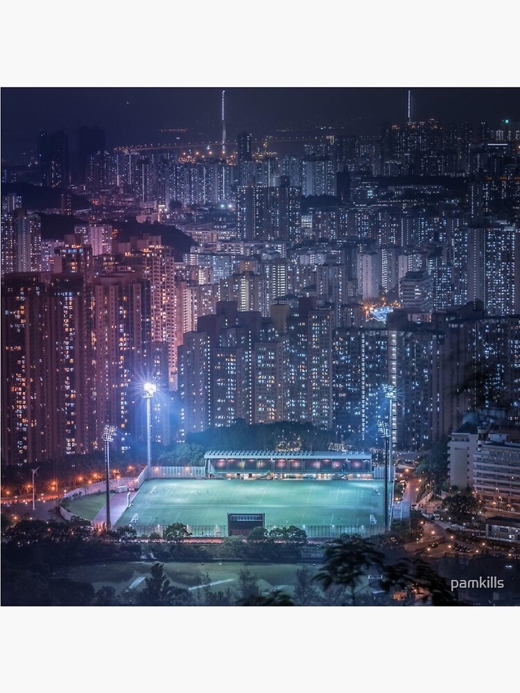 "Skeler Tokyo By Night" Poster For Sale By Pamkills | Redbubble