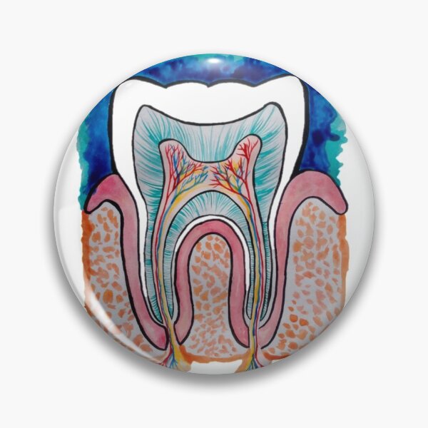 Item preview, Tooth Anatomy designed and sold by DanielaGaleanoA.