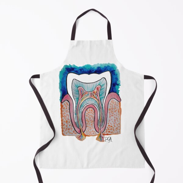 Item preview, Tooth Anatomy designed and sold by DanielaGaleanoA.