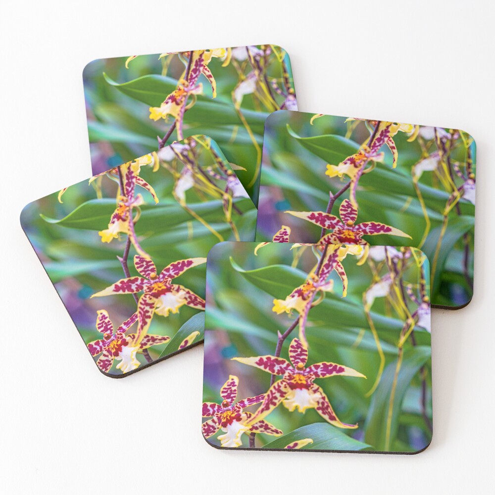 Item preview, Coasters (Set of 4) designed and sold by RShoko.