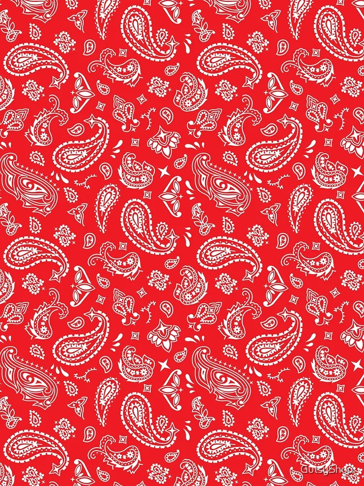 open lace back dress Red Bandana Midi Slip Dress