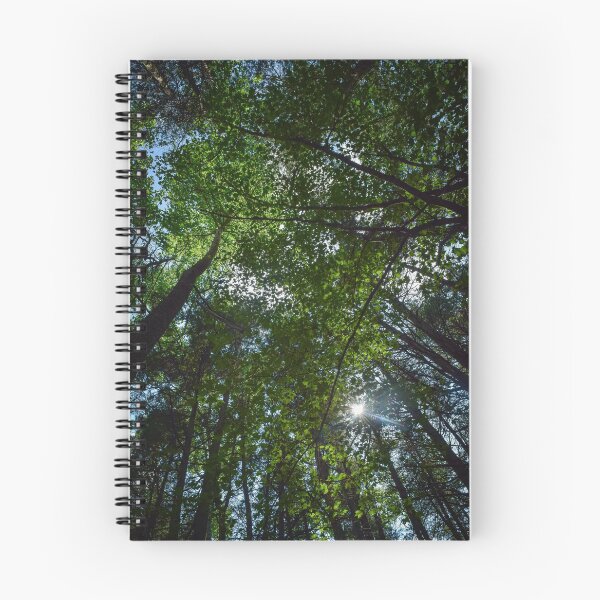 Item preview, Treetops  designed and sold by KPhotographyNJ.