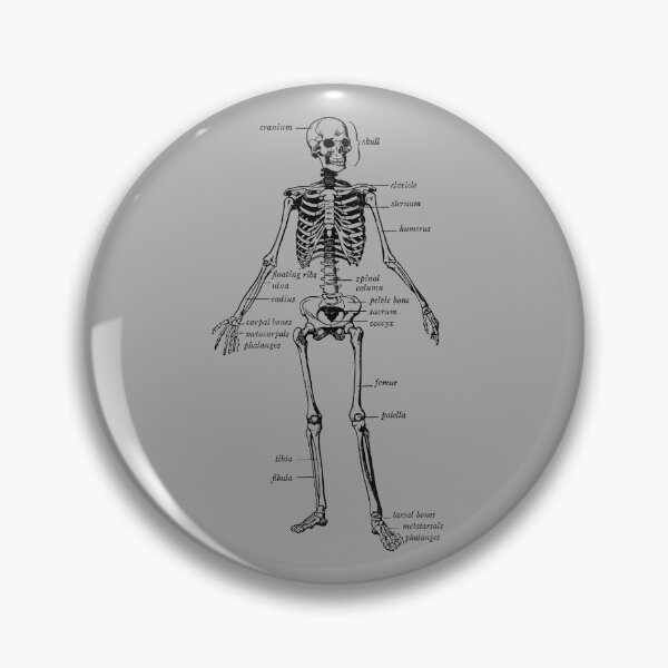 Item preview, human skeleton designed and sold by Redblack123.