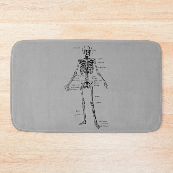 Item preview, human skeleton designed and sold by Redblack123.