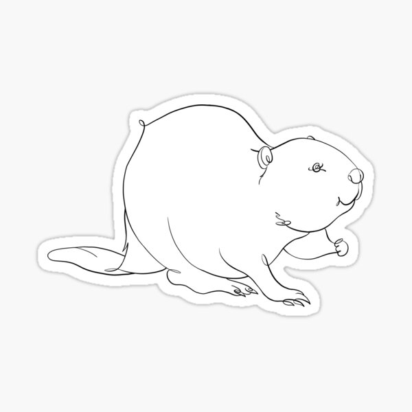 American beaver Sticker