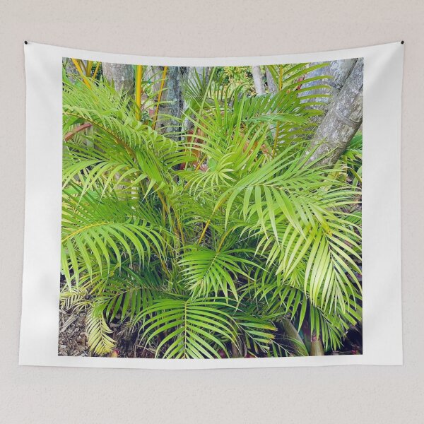 Item preview, Cute Little Palm Tree designed and sold by IslandSun808.