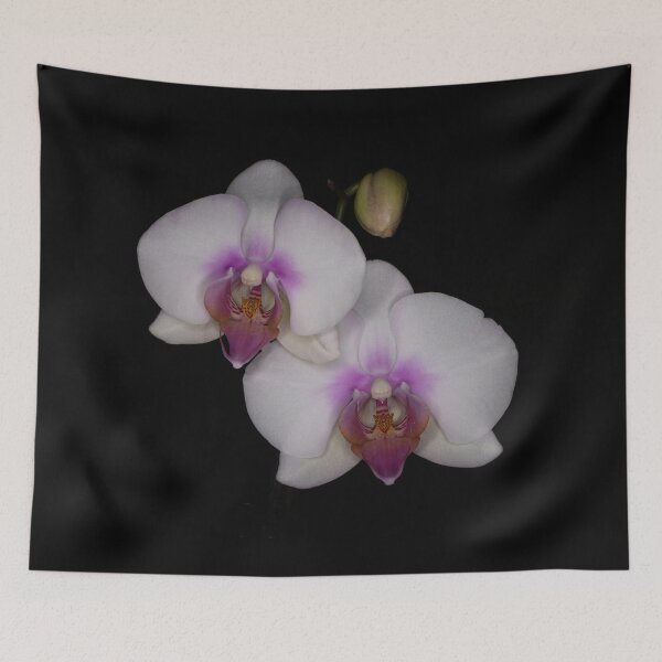 Item preview, Orchids in Bloom designed and sold by Sandra Chung.