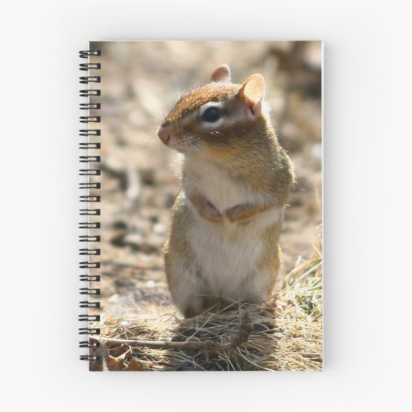Item preview, Chipmunk designed and sold by Enola Gay Wagner.