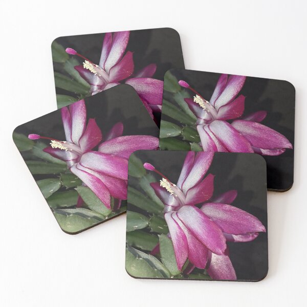 Item preview, NS Fly Magenta IIA-RW.© designed and sold by OmarHernandez.