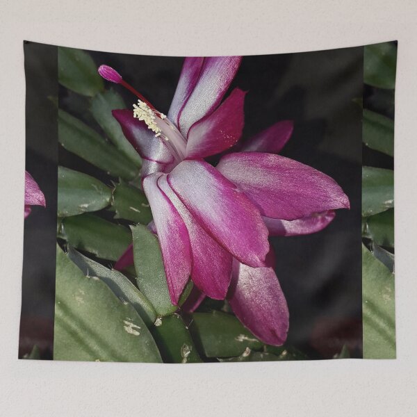 Item preview, NS Fly Magenta IIA-RW.© designed and sold by OmarHernandez.