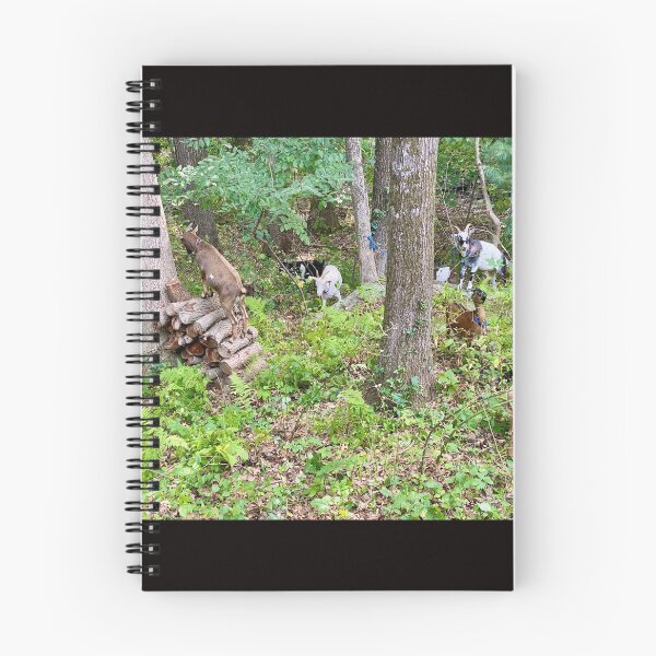 Item preview, Goat Disneyland in our back yard! designed and sold by renprovo.