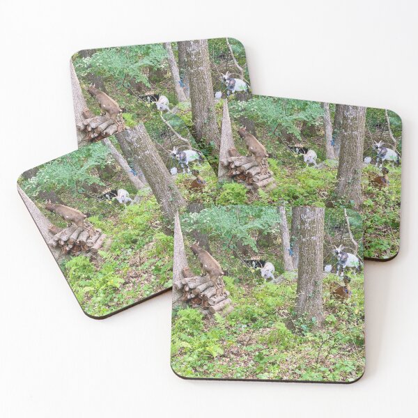 Item preview, Goat Disneyland in our back yard! designed and sold by renprovo.