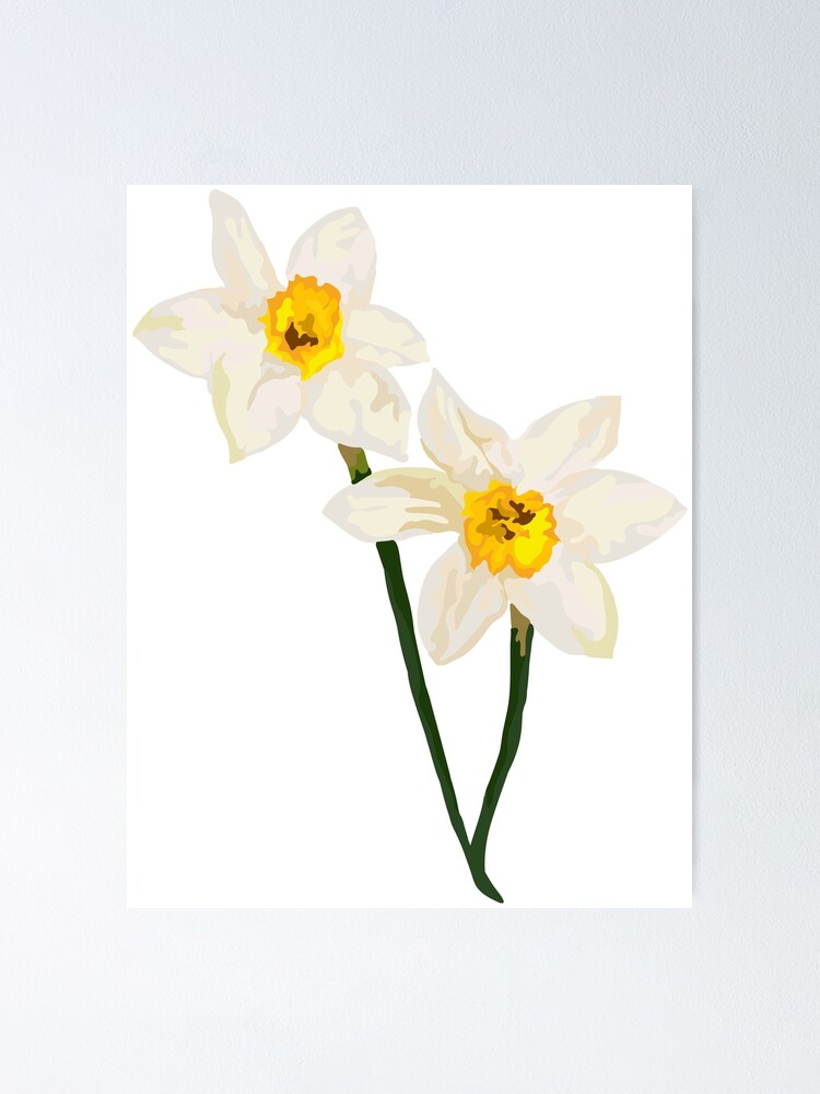 december-s-birth-flower-narcissus-ubicaciondepersonas-cdmx-gob-mx