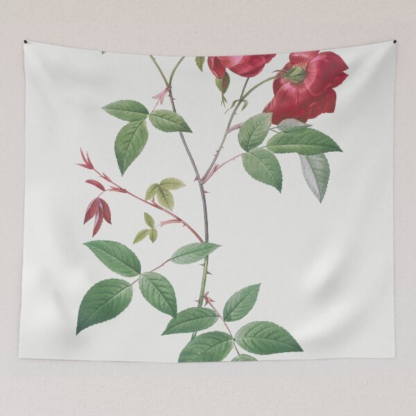 Item preview, Les Roses by Pierre-Joseph Redouté designed and sold by EsotericBotanic.