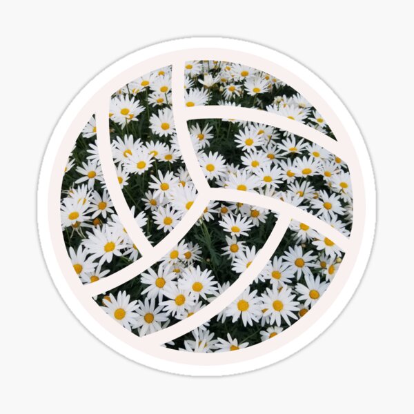 White Daisy Doodle Pack