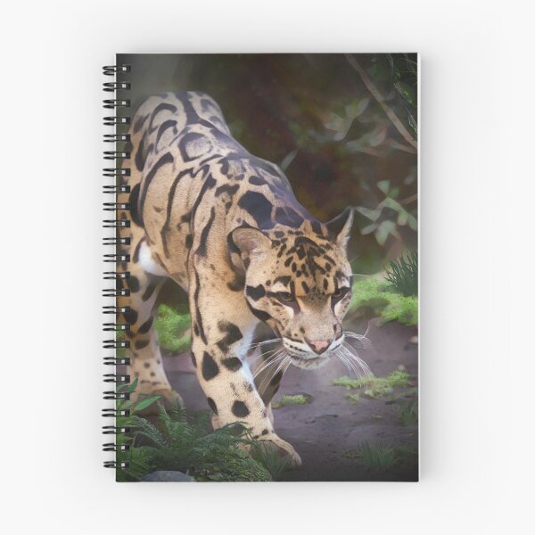 Item preview, Asian Clouded Leopard designed and sold by Heathermarie321.