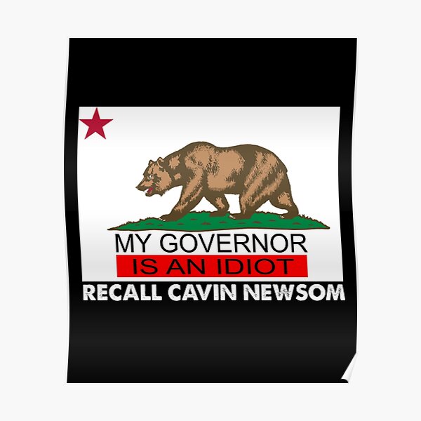Recall Gavin Newsom California Flag Governor An Idiot Poster