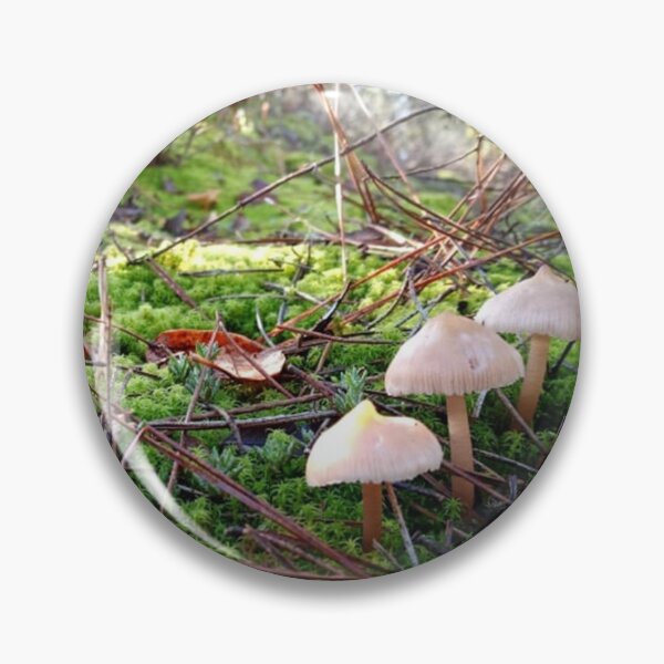 Item preview, Mushroom valley designed and sold by igeorgia.