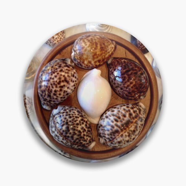 Item preview, Cowries on Parade designed and sold by Shellgirlpearl.