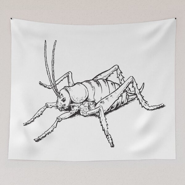 Item preview, JMB STUFF - BUGS - GIANT WETA designed and sold by JMB-STUFF.
