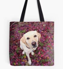 Lab in the Leaves Tote Bag