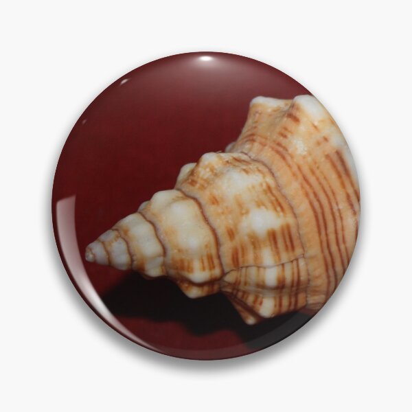 Item preview, Trapezium Horse Conch on Red designed and sold by Shellgirlpearl.