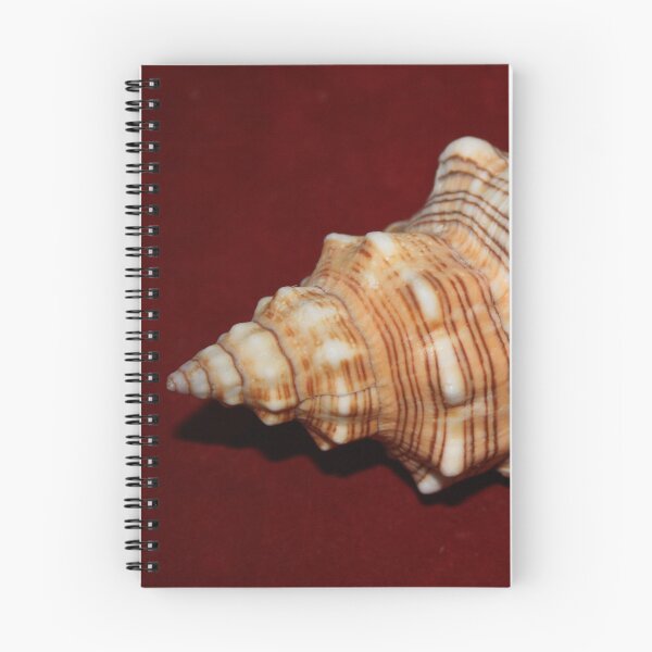 Item preview, Trapezium Horse Conch on Red designed and sold by Shellgirlpearl.