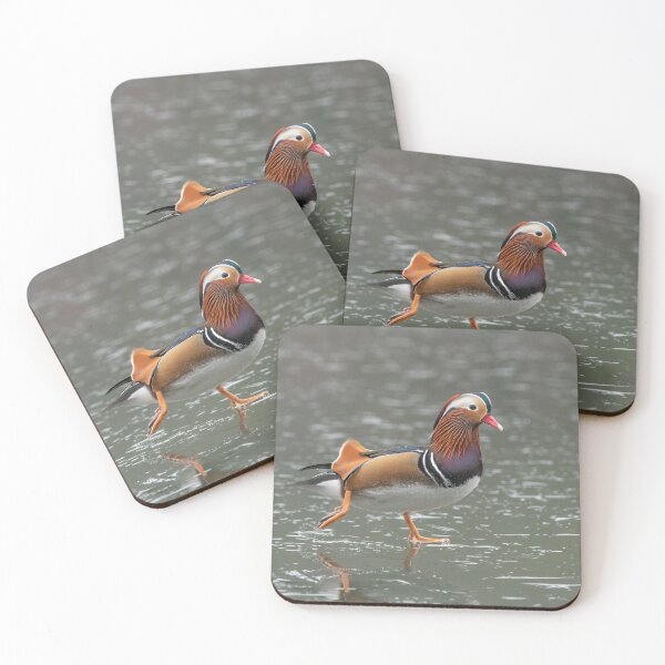 Item preview, Mandarin Duck designed and sold by Steve Liptrot Photography.