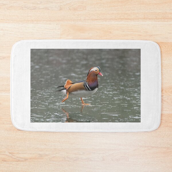 Artikelvorschau, Mandarinente entworfen und verkauft von Steve Liptrot Photography.