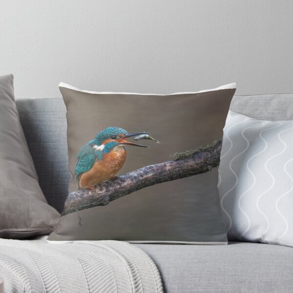 Item preview, Common Kingfisher designed and sold by Steve Liptrot Photography.