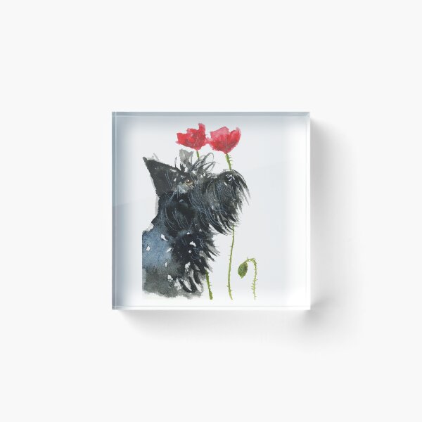 Artikelvorschau, Scottie Dog 'Poppies' entworfen und verkauft von archyscottie.