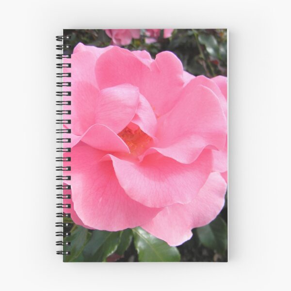 Item preview, Luscious Pink Rose designed and sold by Kathleen Brant.