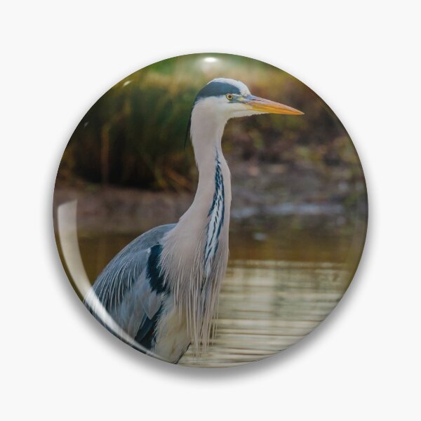 Item preview, Grey Heron designed and sold by Dalyndigital Photography.