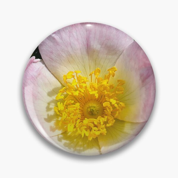 Item preview, Dog Rose designed and sold by Violaman.