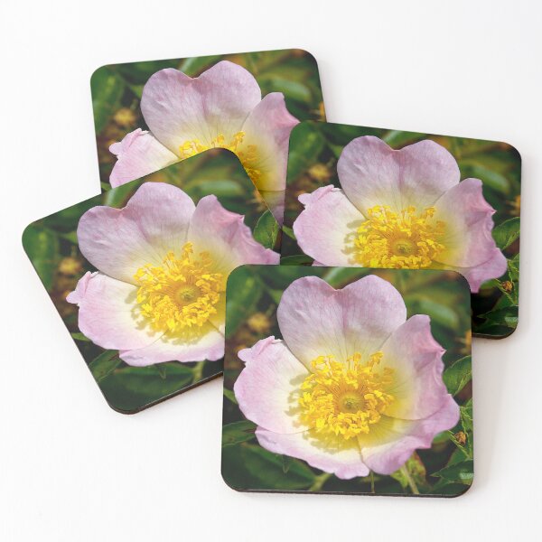 Item preview, Dog Rose designed and sold by Violaman.