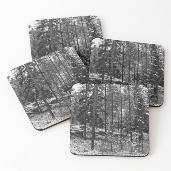 Item preview, First snow in the forest 2 bw designed and sold by Jouko Lehto Photography.