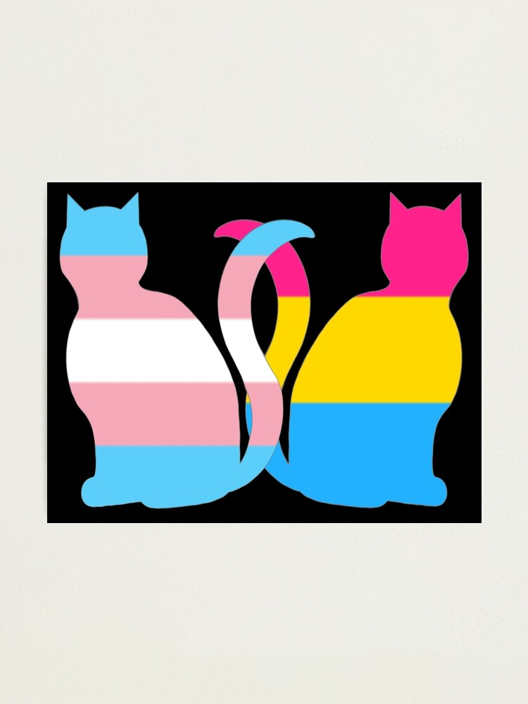 Trans Pansexual Pride Cats Photographic Print By Shaneisadragon Redbubble 4595