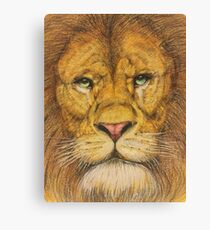 Regal Lion Drawing Canvas Print