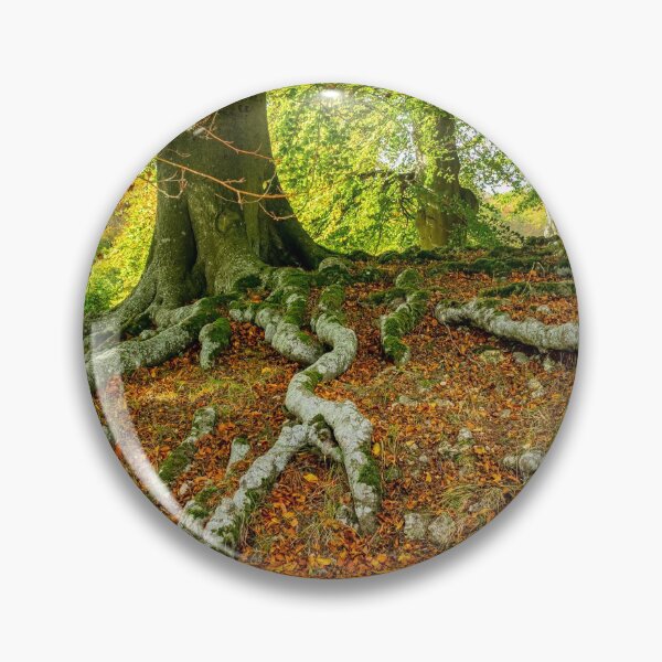Item preview, Tree Roots designed and sold by MLP Fine Art.